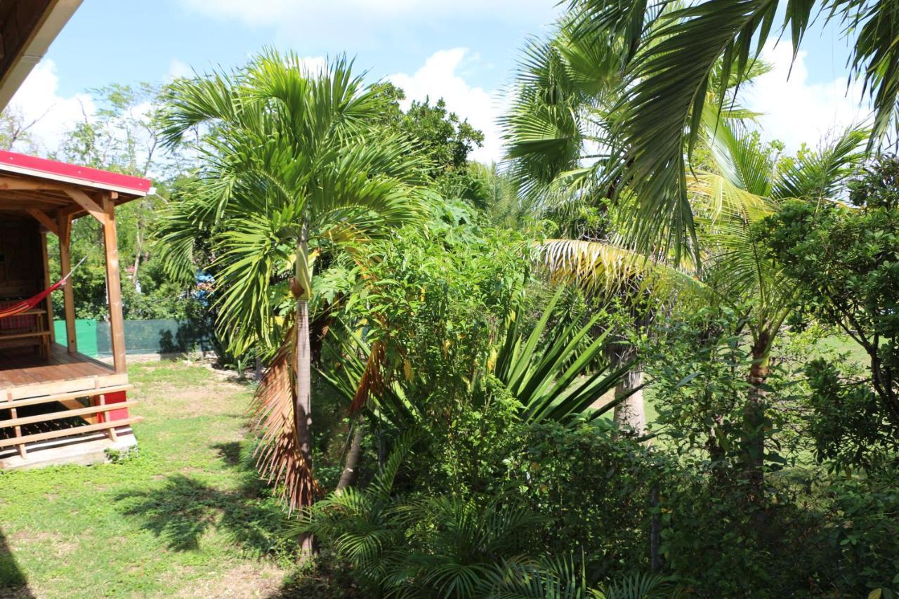 Les Z'Alizes Villa Le Moule Ngoại thất bức ảnh